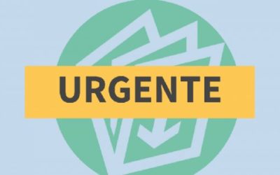 Fsist e outros sites de consulta de NFe são impedidos de funcionar